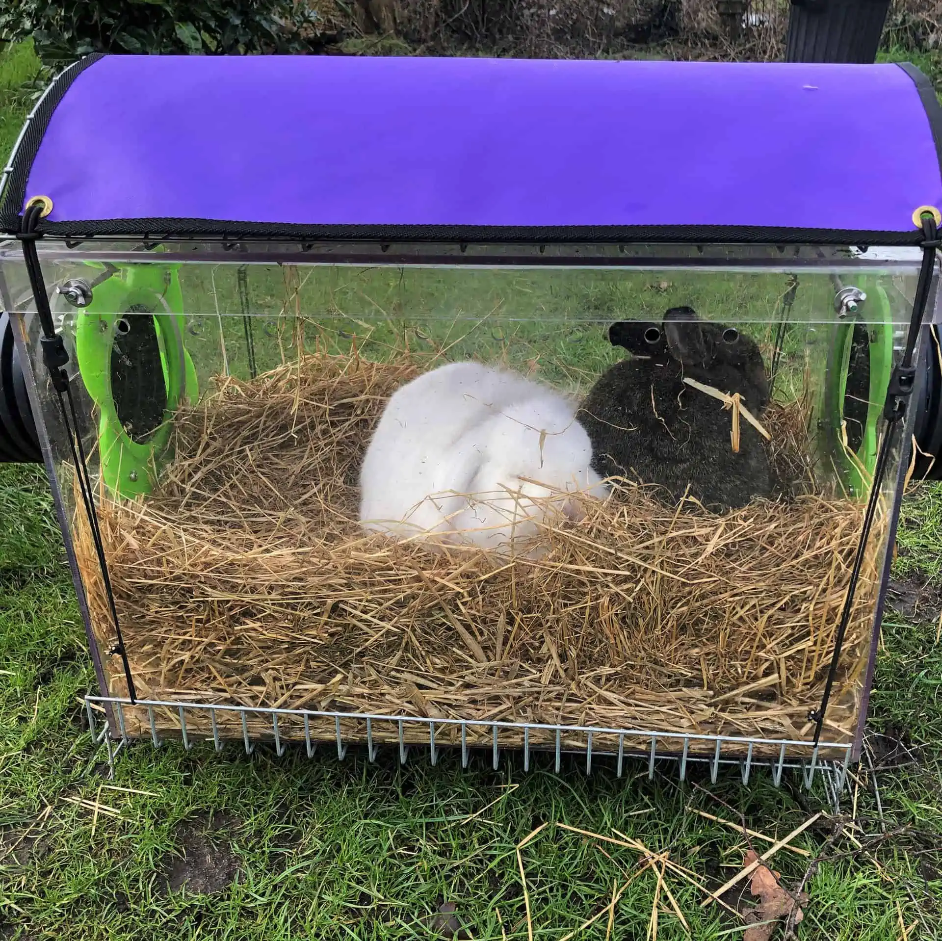 Outdoor rabbit clearance bedding