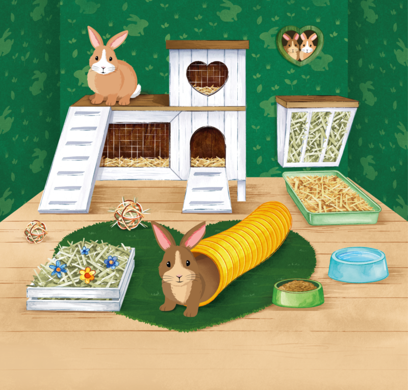Indoor rabbits